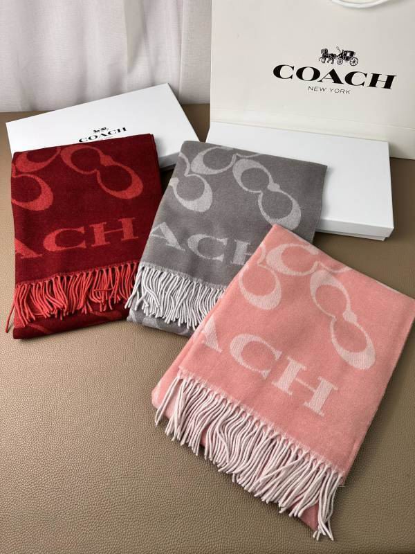 Coach scarf hm